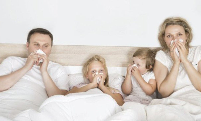 Is Your Indoor Air Making You Sick?