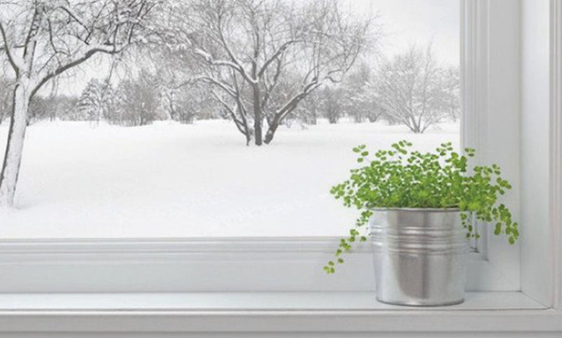 Winter’s Here: Do You Have a Humidifier?